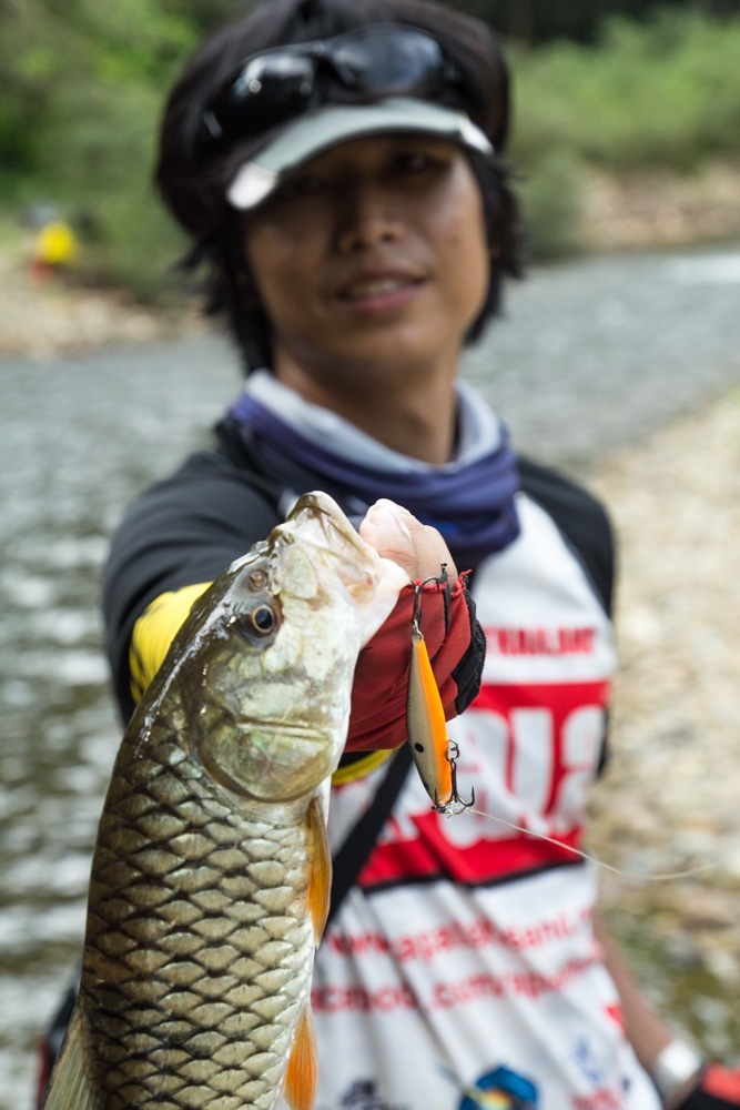  [b]ตัวนี้ชาร์จเหยื่อ Rapala Flat Rap ครับ[/b]