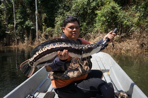 1คนตกก็เอี้ยวตัวยากแล้วครับ :laughing: