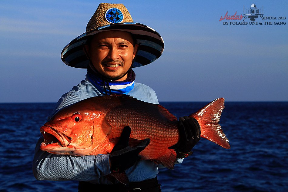 โคต.รแดงหลี .....

ไอ้หลี ที่ใหญ่ที่สุดเท่าที่ผมเคยเห็นมาตั้งแต่ตกปลามา ......

สีสันสวยงามมากๆ 