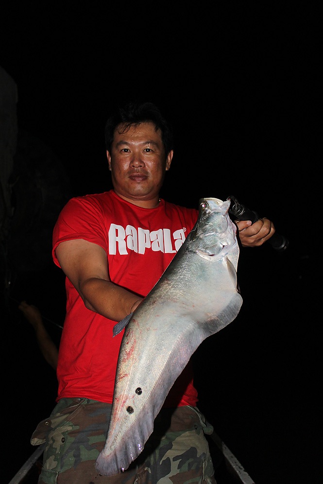 Night Fishing @ Chaophaya River