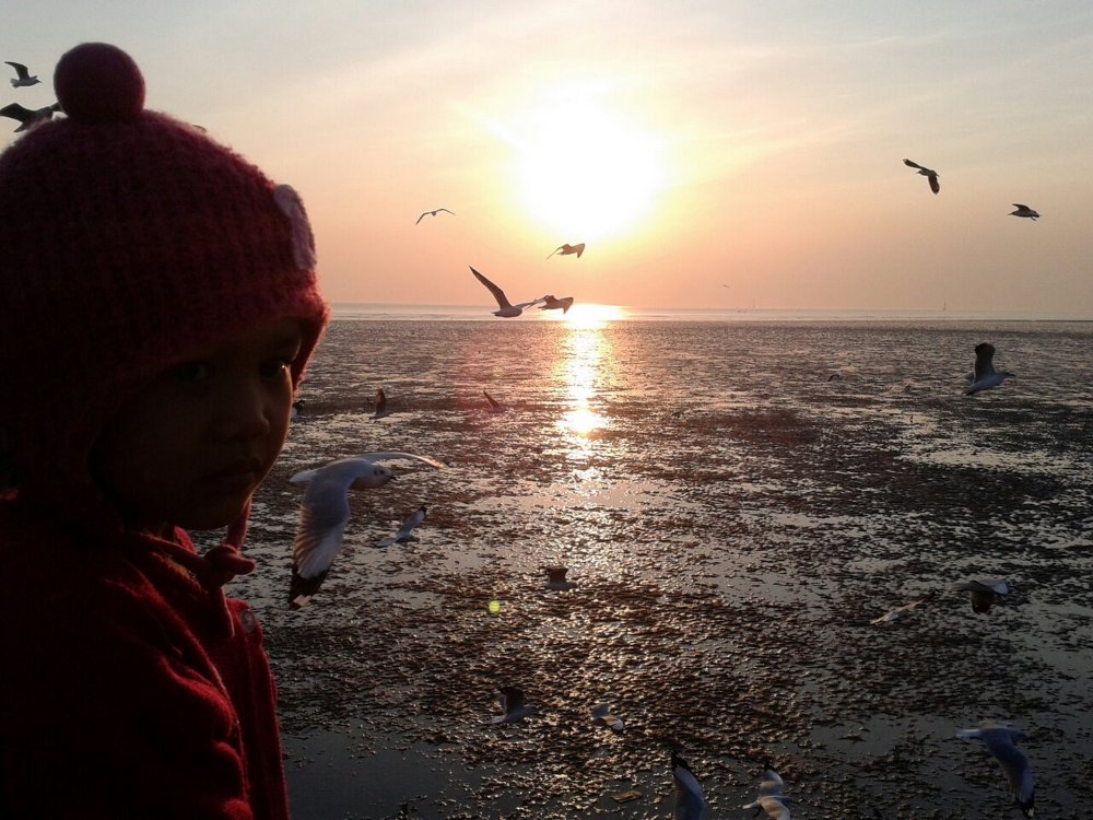 สุดท้ายลากันด้วยรูปนี้ ลูกสาวผมเองคับถ่ายที่ตากอากาศบางปู ใครขับรถมาเที่ยวสมุทรปราการอย่าลืมมาเที่ยว