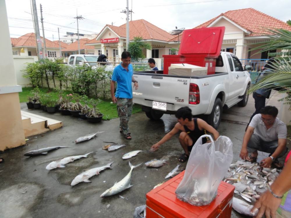 ลากันดัวยภาพนี้ครับ
วันหน้าเราจะกลับไปเยือนทะเลตราดกันใหม่
 :music: :music: :music: :music: :music