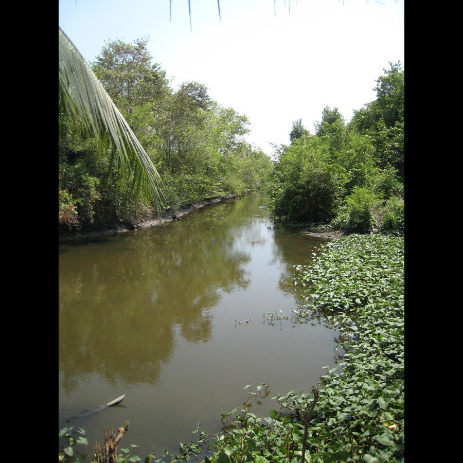 ...พายมาถึงที่เอาเรือขึ้น น้ำก็เเห้งเเทบต้องลงน้ำเข้นกันหละครับ...