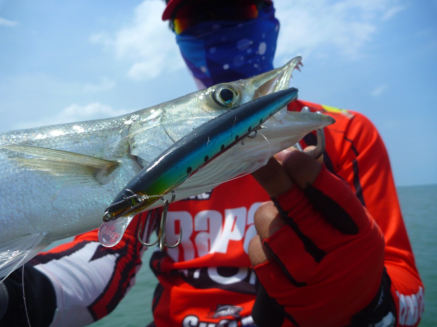  [center]เสร็จ Rapala MAX RAP 13


สังเกตว่าเจ้าปลากลางน้ำพวกมักชอบกัดเหยื่อยาวๆ

ถ้าจะให้เดา ท