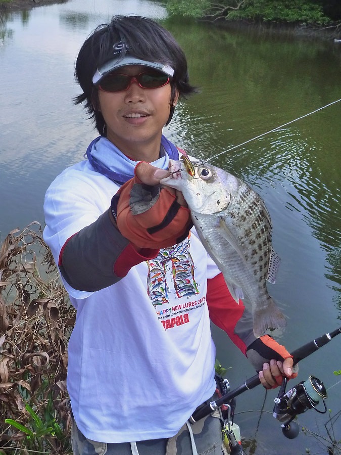  [center]แล้วเม่นก็ไปโดนเจ้านี่ที่หน้าประตูน้ำ เจ้าครืดคราด

ใช้ RAPALA Snap Rap ตีทิ้งดิ่งออกไปตา