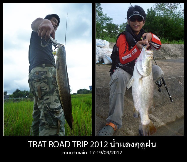  [center]หากต้องการหาดูเรื่องราวท่องเที่ยวตกปลาตีเหยื่อปลอมใน จ.ตราด

ย้อนกลับไปชม ตราดซีรี่อื่นๆจ