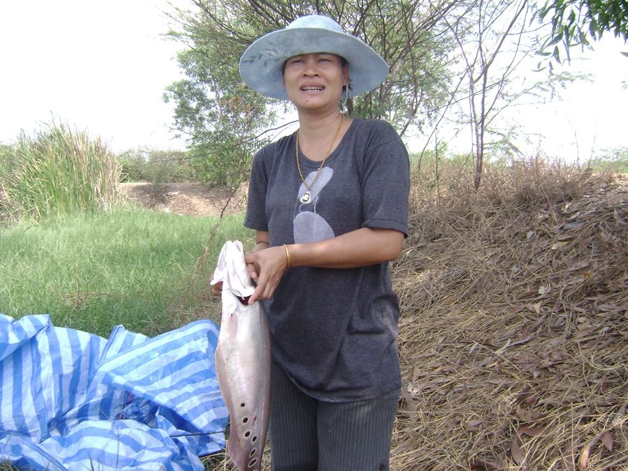 แม่บ้านเล่นเบ็ดไม่ค่อยเป็นหรอก...ไม่รู้ดึงมาอิท่าไหน....ปลาหลุดข้างตลิ่ง..ดีว่ามันหมดแรงแล้ว..แม่บ้า