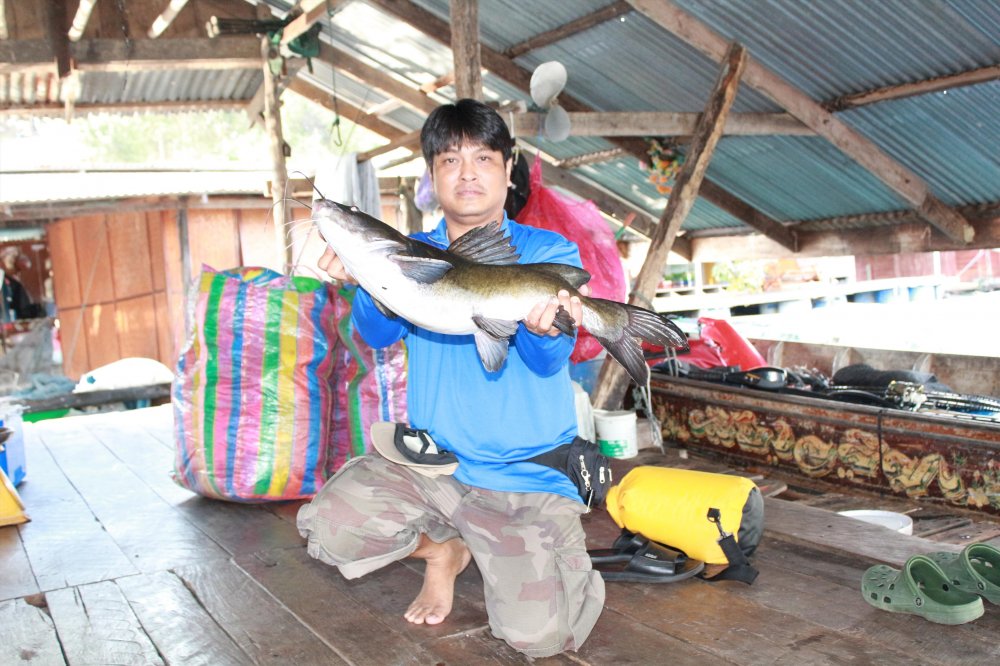 หล่อกันทุกคนเลยปลาในกระชังเนี่ย :laughing: :laughing: :laughing: :laughing: :laughing: :laughing: