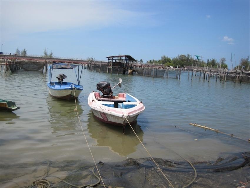 ลำสีชมพูลำนี้เรือลำแรกของผม  หัดขับเรือก็หัดกับลำนี้กับเครื่องหางยาวบังคับยากมาก  ไม่ได้ลงน้ำมา3ปีแล