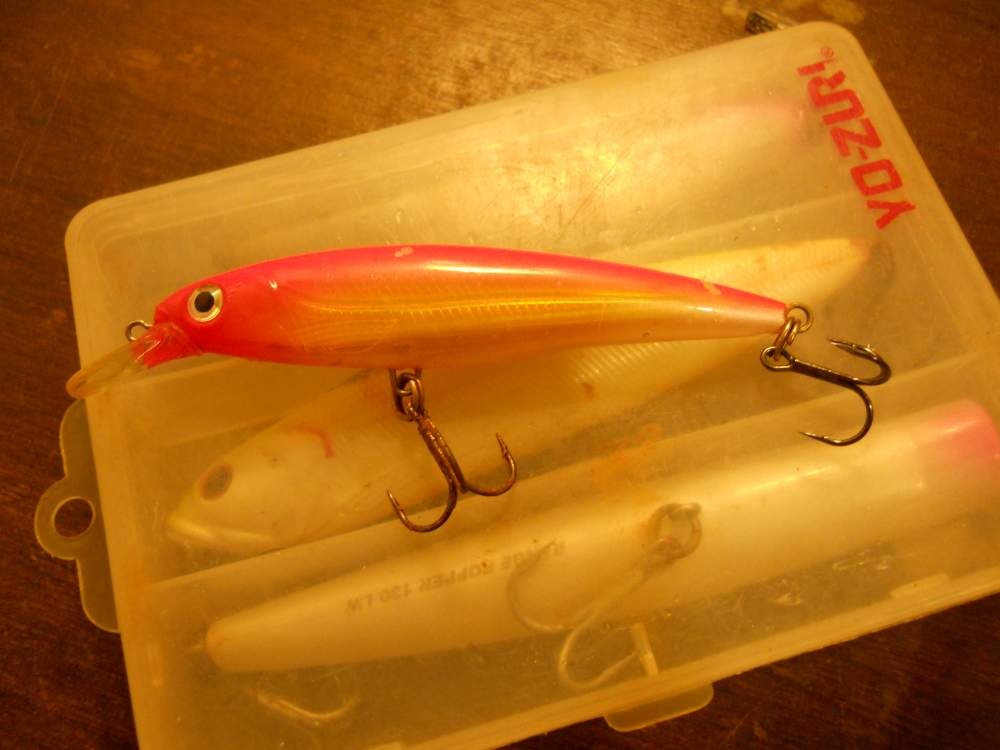 ว่าแล้วลองเจ้านี่บ้างดีกว่า rapala x-rap 90 มม. สีส้มมีเพลทใน เผื่อจะเวิร์ค :grin: :grin: :grin:

