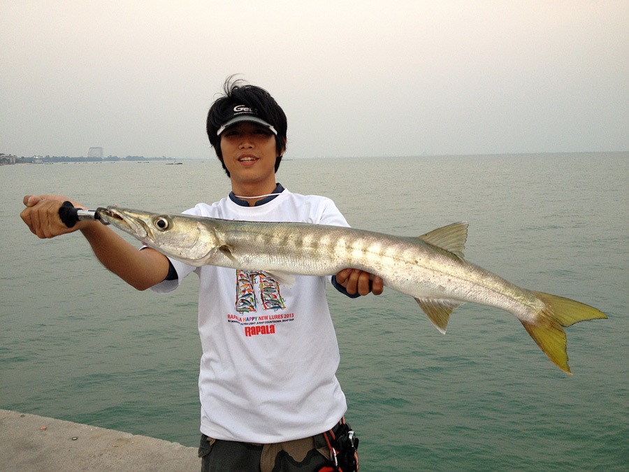  [center]
เม่นตีเหยื่อปลอมอยู่ไม่กี่ไม้ ตึ่ก ปรี๊ดดด โดนกัดเข้าจังๆครับ น่าเสียดายที่เวลาได้ปลามักอ