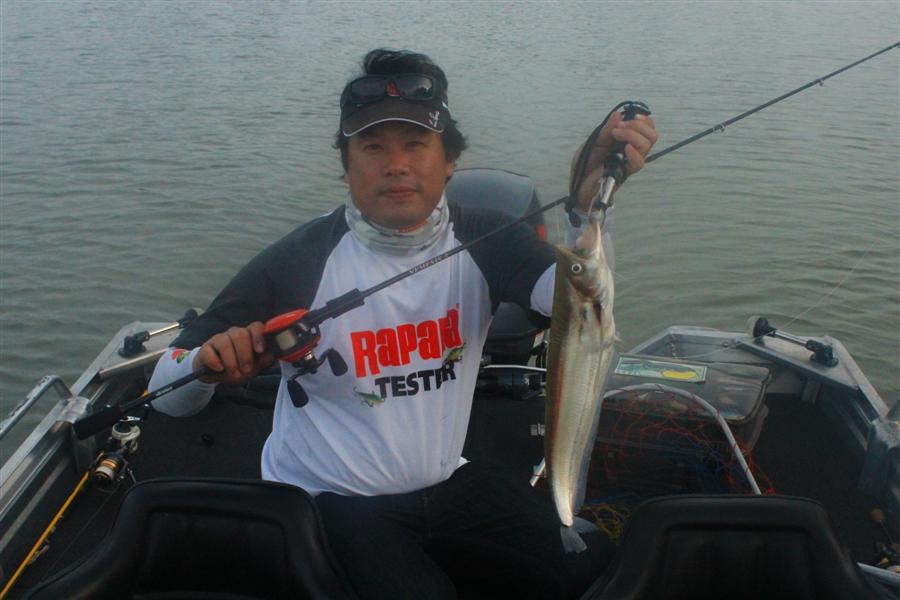 ได้ปลาเบี้ยวมาตัวนึง :umh: :umh: :umh:

คัน Okuma NEMESIS II 6-12lb

รอก Rapala LEGENDER

สาย 