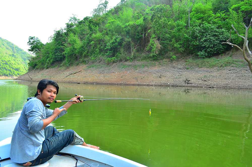เฝ้าจิบ ................................................  แบบ ชิว ชิว  :grin: