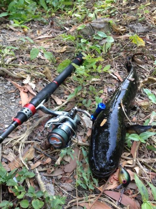 ตัวหมานเลยครับดำตื้นเนี่ย