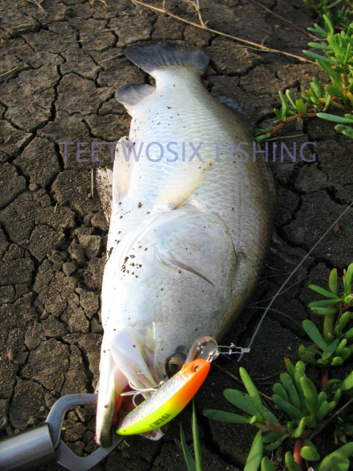 โดนมาแล้ววคับโปรตี๋ ตัวแรก กับเหยื่อYozuri Crystal Minnow 70F :cool: :cool: