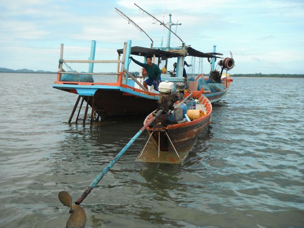 ลำนี้ถ่ายปลาลงเรือเล็ก