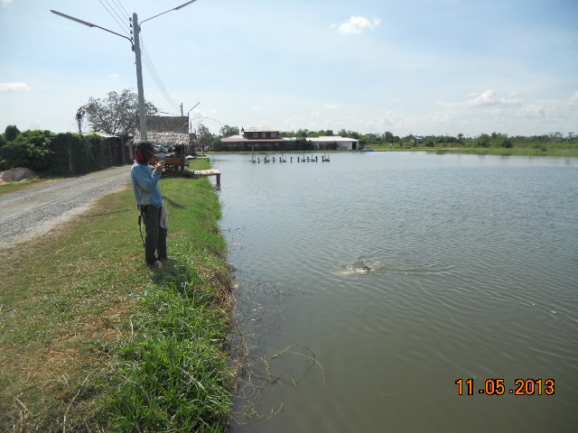 ไม่หนำใจ ไปซ้ำ วันที่ 11/5