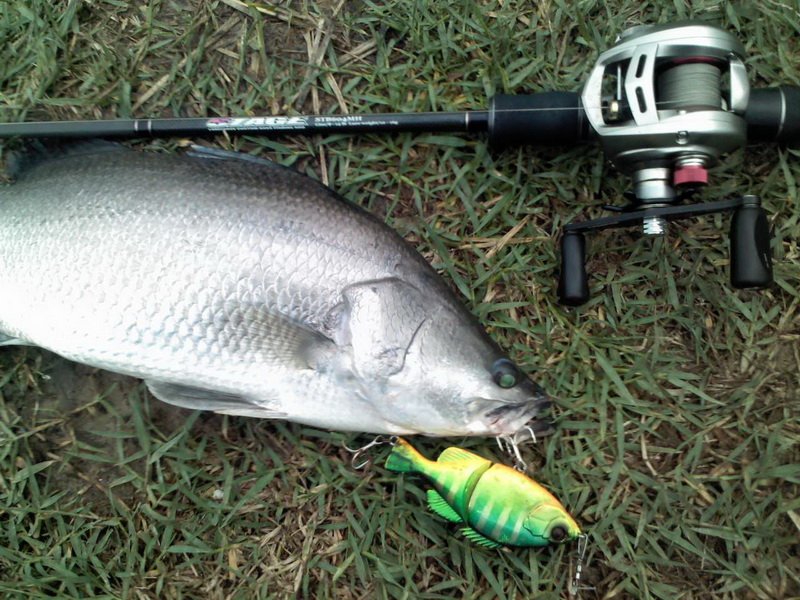  Rod & Reel & Lure
:grin: :grin: