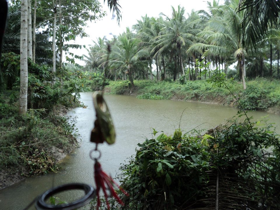 แต่ฝนตกเสียแล้ว