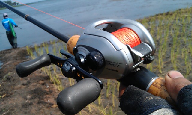 Shimano mg7 กับคันบิวท์เองครับ :love: