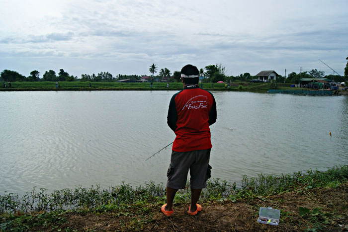 น้องต้อม Fake Fish หรือ " ต้อม โคราชคันทรี "  อยากลองตกกระพงขังดูครับ ว่าปลาจะกินเหยื่อสมคำล้ำลือห