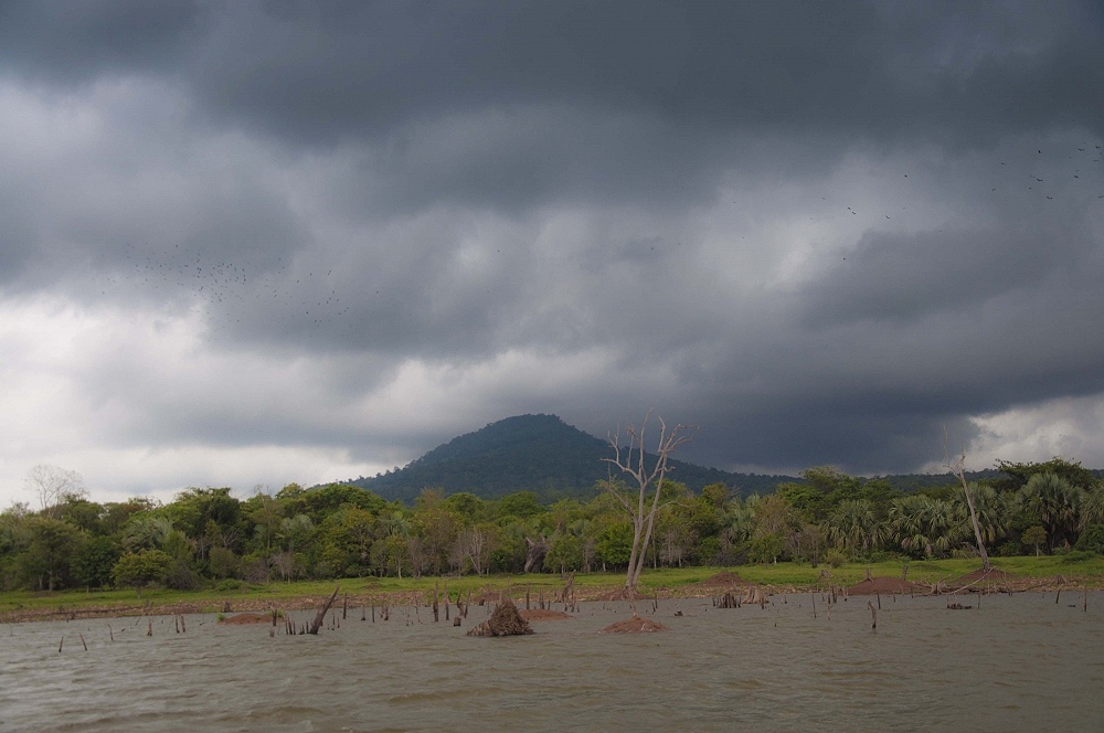 ฝนมาแล้วหลบเข้าคลองดีกว่า :grin: :grin: :grin: :grin: