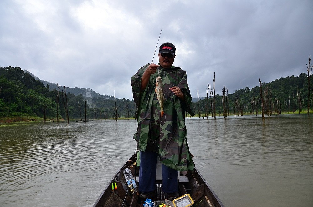 ฝนตก ทั้งวันเลยเก็บภาพได้เท่าที่ ทำได้ครับ กระสูบคุณชาย อ่ำ ตัวที่เท่าไร ก็จำไม่ได้ครับ เยอะไปหมดเลย