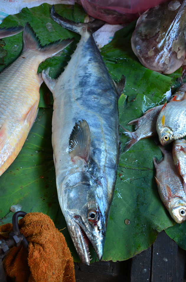 และปลาตัวที่ 9 ปกติตลาดสดในกรุงพนมเปญจะเป็นปลาน้ำจืดเกือบหมด แต่ปลาตัวนี้เหมือนปลาน้ำเค็มเลย เลยไม่แ