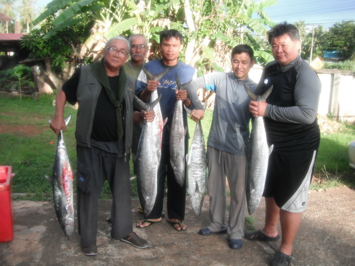 สรุปผลปลาอินทรีย์กิน10ครั้งหลุด4ได้มา6 ไซร์6.5-7KG ถ้าลมไม่มาเสียก่อนน่าจะได้เยอะกว่านี้  :laughing: