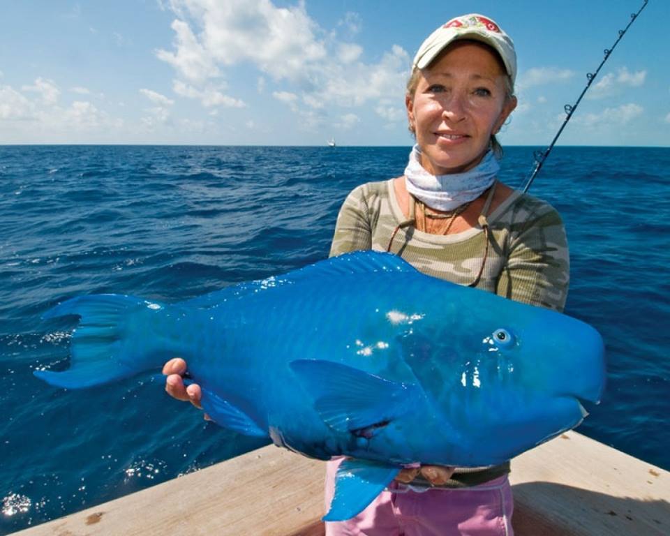 น้าๆ เคยตกได้กันบ้างหรือป่าว ปลานกแก้วสีน้ำเงิน (Blue Parrot Fish) ทดสอบกระทู้แร