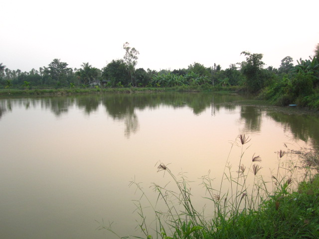 ภาพตอนอัดปลาไม่ค่อยมีนะครับ ต่างคนต่างตก