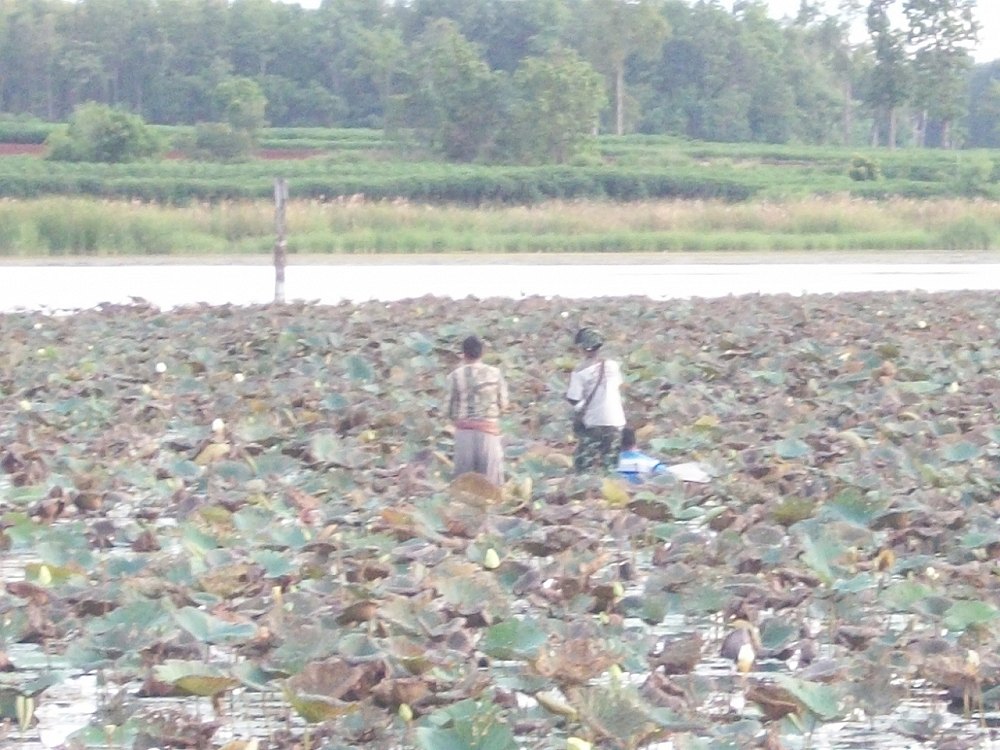 ชุด 2 ลงเรือแต่ดันลืมเอากล้องไปด้วย แล้วนั่นทำอะไรกัน ซูมได้แค่นี้ :grin: