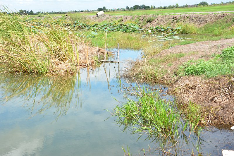 น้าบัส..จัดขึ้นมาจาก  "ช่องขาด"  นี้แหละ !!!    :cool: :cool: :cool:

 :cheer: :cheer: :cheer: :