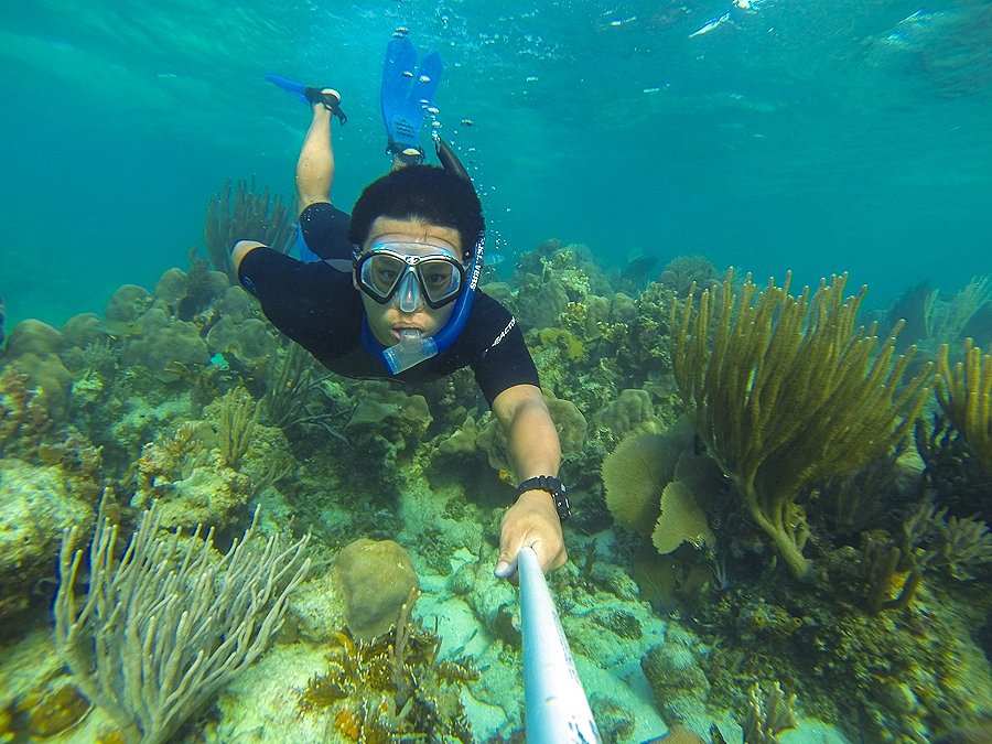 แนวปะการังใน Atoll จะมีลักษณะเป็นกลุ่มกล้อนที่เราเรียกกันว่า Patch of Reef ครับ
เหมือนสวนสนุกใต้น้ำ