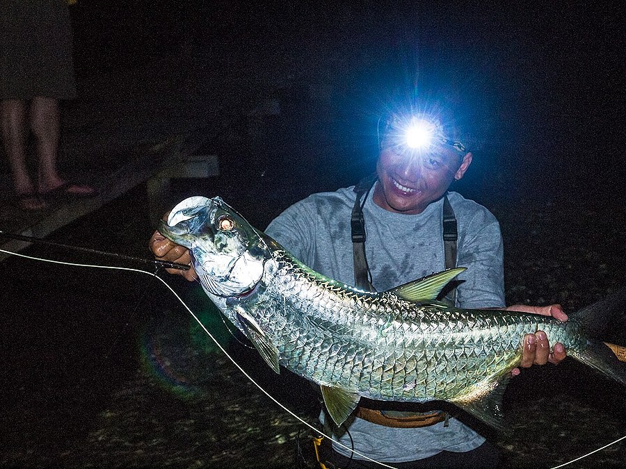 Tarpon ตัวซัดฟลายตอนกลางคืนครับ คันฟลายเบอร์ 8 โดนไปเกือบครึ่ง ชม ครับ
ตั้งแต่ตกปลามายอมรับเลยว่ากิ