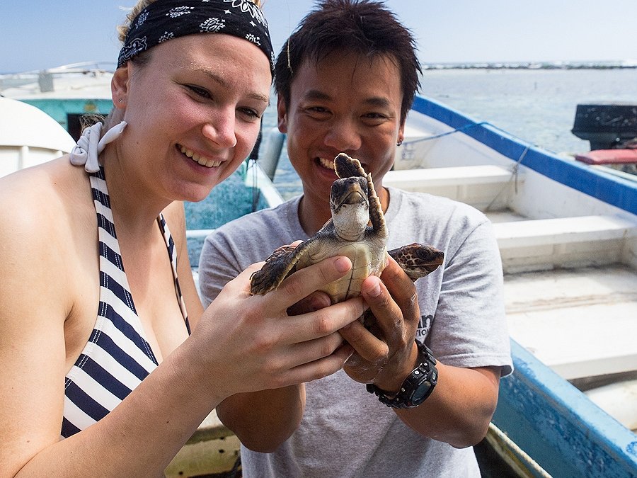 เนื่องจากเบลิซ มีชายหาดมากมาย มันก็เป็นแหล่งวางไข่ของเต่าทะเลทั้งหลาย
ชาวบ้านและหน่วยงานบางส่วนนะนำ