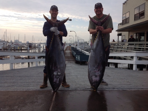 นี่คือรูปปลา 2 ตัวไซด์ 100UP  ที่กัปตันผมพูดถึง

 124 lb. Bluefin tuna เเละ  114   lb. Bluefin tun