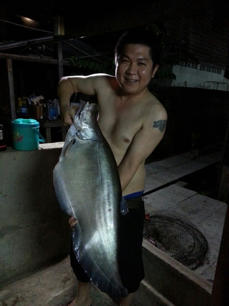 หาเพื่อนตกปลาแถวนนทบุรีครับ