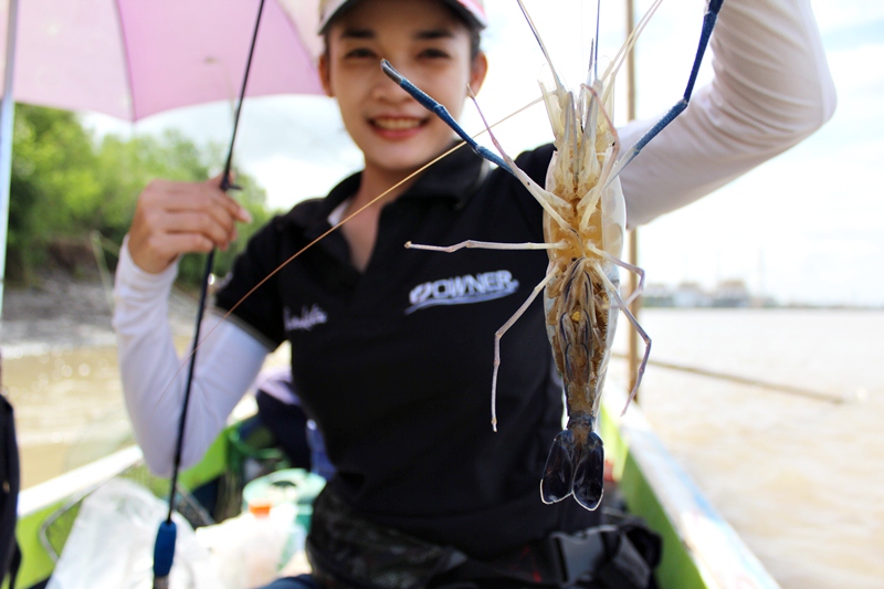 ตอนนี้กุ้งเริ่มจับแล้วคะ  สนุกเลยโดนกันทุกคัน ตัวนี้กุ้งไข่ของเมย์  :umh: :umh: :umh: