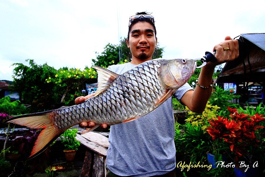 

   $$$  กลับมาที่แพมีอารัยบ้าง   นายเอกเล่นของใหญ่จนได้ นาน ๆ จะเห็นซ่ะที

           กระสูบไซ