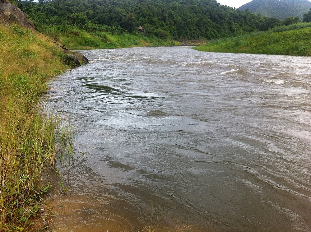 ตามหลังแนวหิน น่าจะมีตัวซ่อนอยู่บ้างนะ