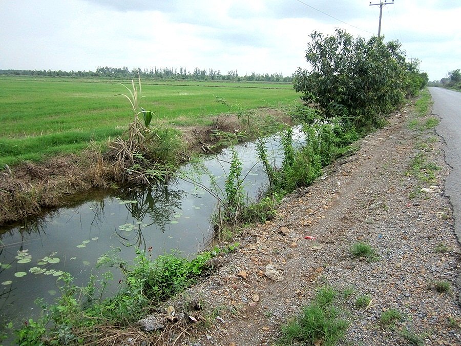  [center][b]      ฝนหยุดแล้ว  เราก็ลุยกันต่อเลยค้าบบบ     [/b][/center] 


 [center][b]     เจอหล