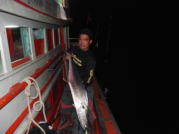 ผมกับปลาอินทรีครับปลาวาฮูก็เข้ามาแล้วนะครับจับของบ่าวกับหนุ่มมาหลุดข้างเรือให้เสียดายเล่นเฉย :cheer: