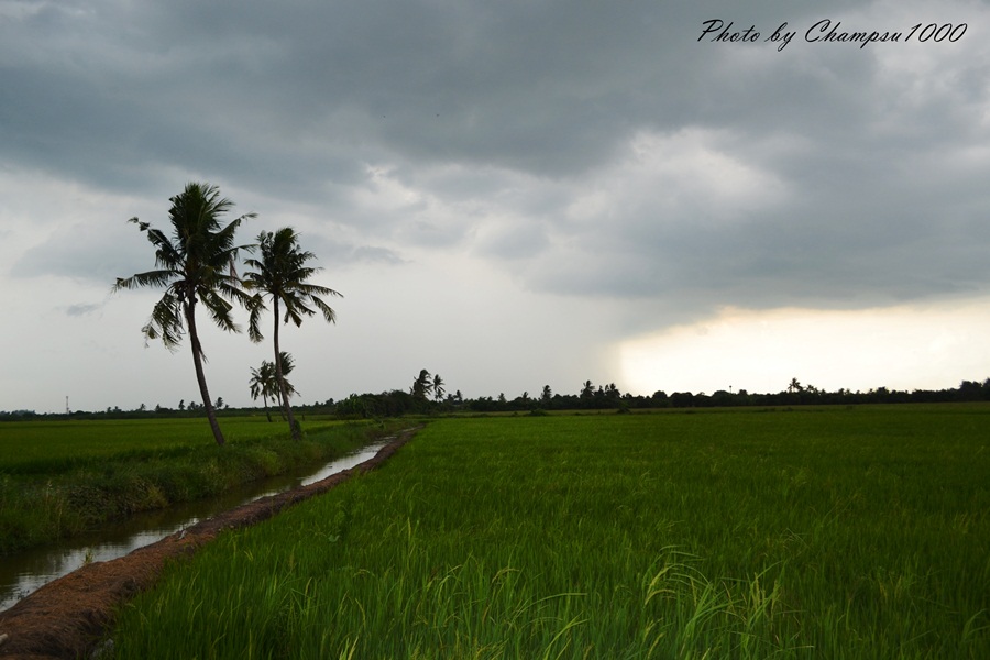  [center]และแล้วฟ้าฝนก็ไม่เป็นใจ เห้อ เวลาแห่งความสุขนั้นช่างสั้นเหลือเกิน ขอลากันด้วยภาพนี้เลยแล้วก