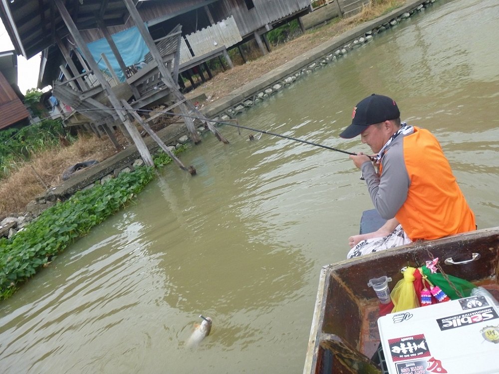 เล่นซะคันแทบหลุดนึกว่า หูดำ ที่ไหนได้ กระสูบนี้เอง ชุมจริงๆ