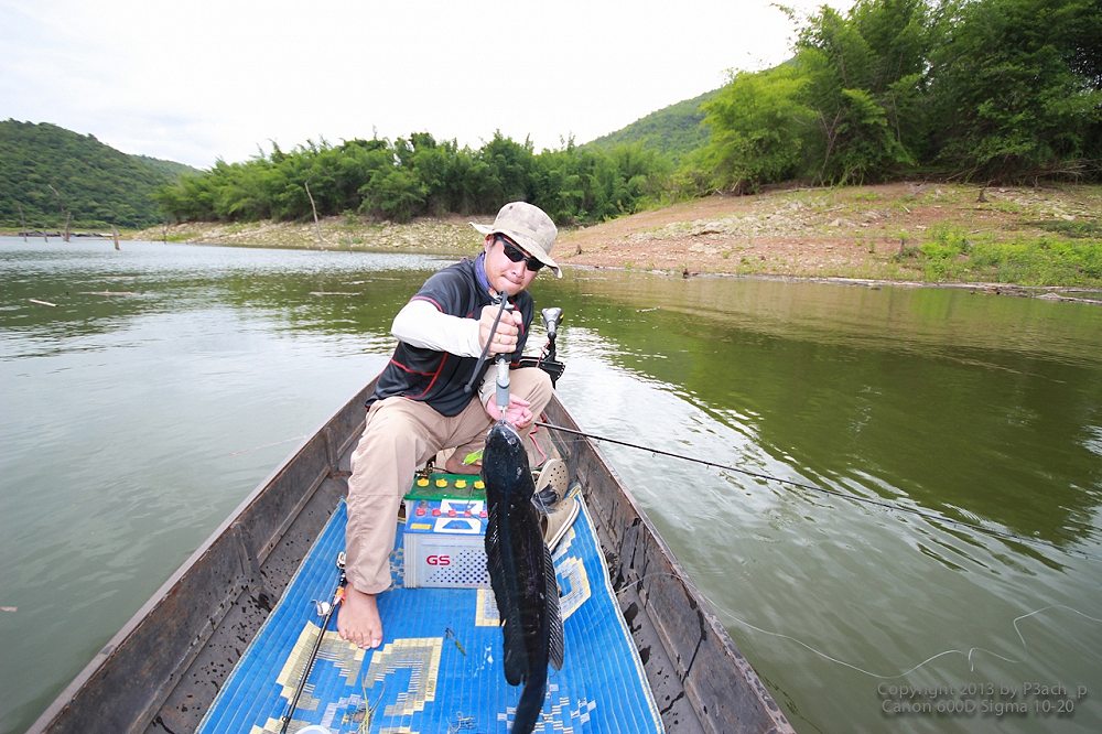 [center][b] ย้ายหมายตามหาฝัน...โดนซะ น้ายศปลาดันกัดว่าว...ก่อนหน้านี้  :laughing: :laughing: :laughi