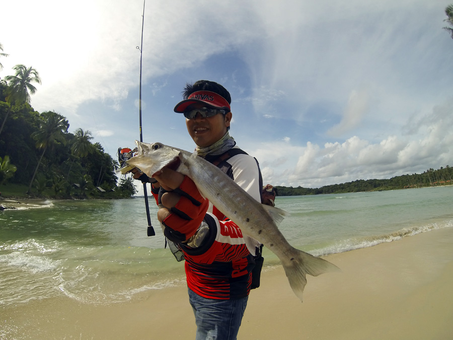  [center]สำหรับตัวนี้เป็นลูกเจ้าสากโทน* หรือ สากยักษ์* (Great Barracuda*) บ้านเรามักไปเรียกรวมกับ สา