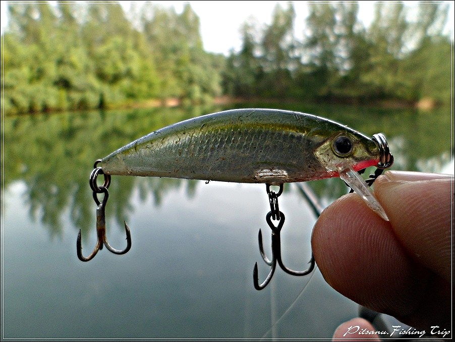  [center]:cheer:      ผมก็เลยหยิบเหยื่อที่คิดว่าน่าจะเหมาะกับปลาเล็กๆมาใช้   RAPALA  X-RAP  Countdow