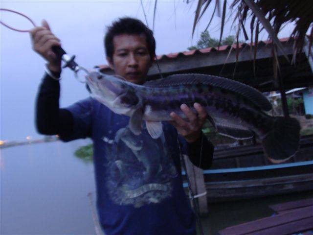 ทริปนครชัยศรี NO FISHINH TEAM