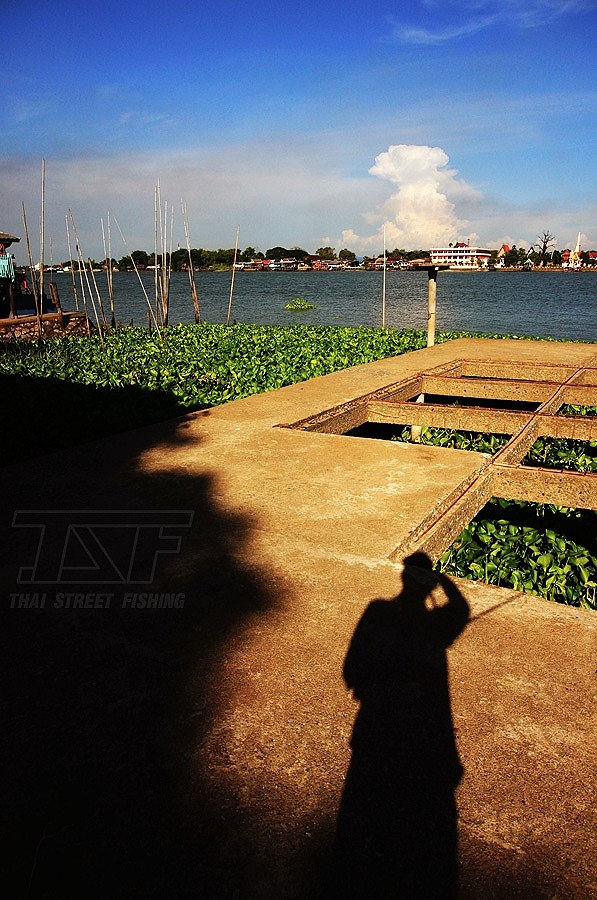 Thai Street Fishing # 2 ช่อน/กระสูบ/น้ำไหลชิวๆ